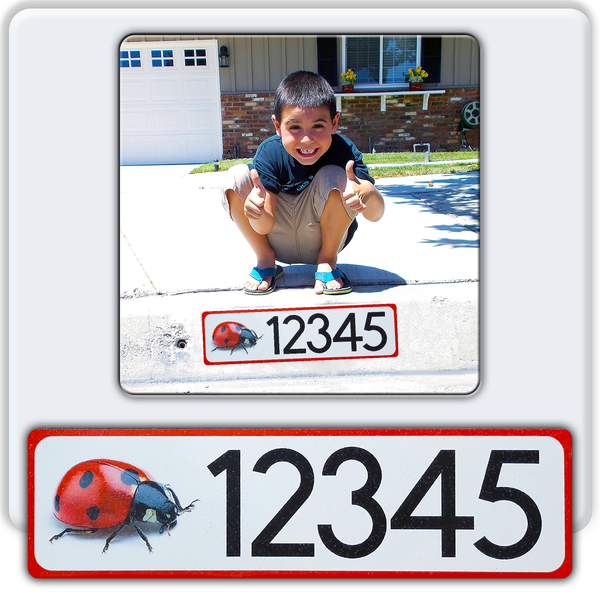 Curb-n-sign®, Curb Wrap®, Your Favorite Sports Teams Curb-n-sign®, Curb Wrap®, Your Favorite Sports Teams